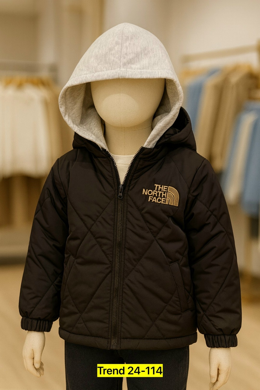 куртка the north face,north face jacket,куртка,пуховик двусторонний,двусторонняя куртка