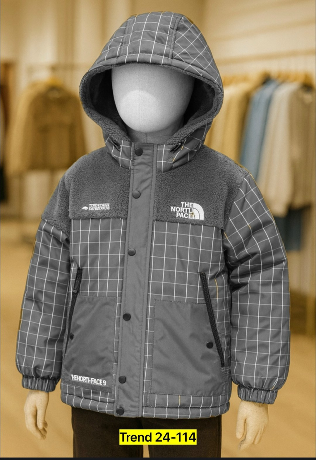 куртка the north face,теплая куртка,куртка,куртка демисезонная,куртка для мальчиков