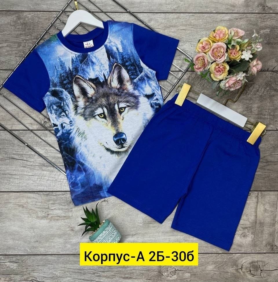 ,костюм для мальчика,шорты для мальчик,комплекты для мальчика,детские костюмы