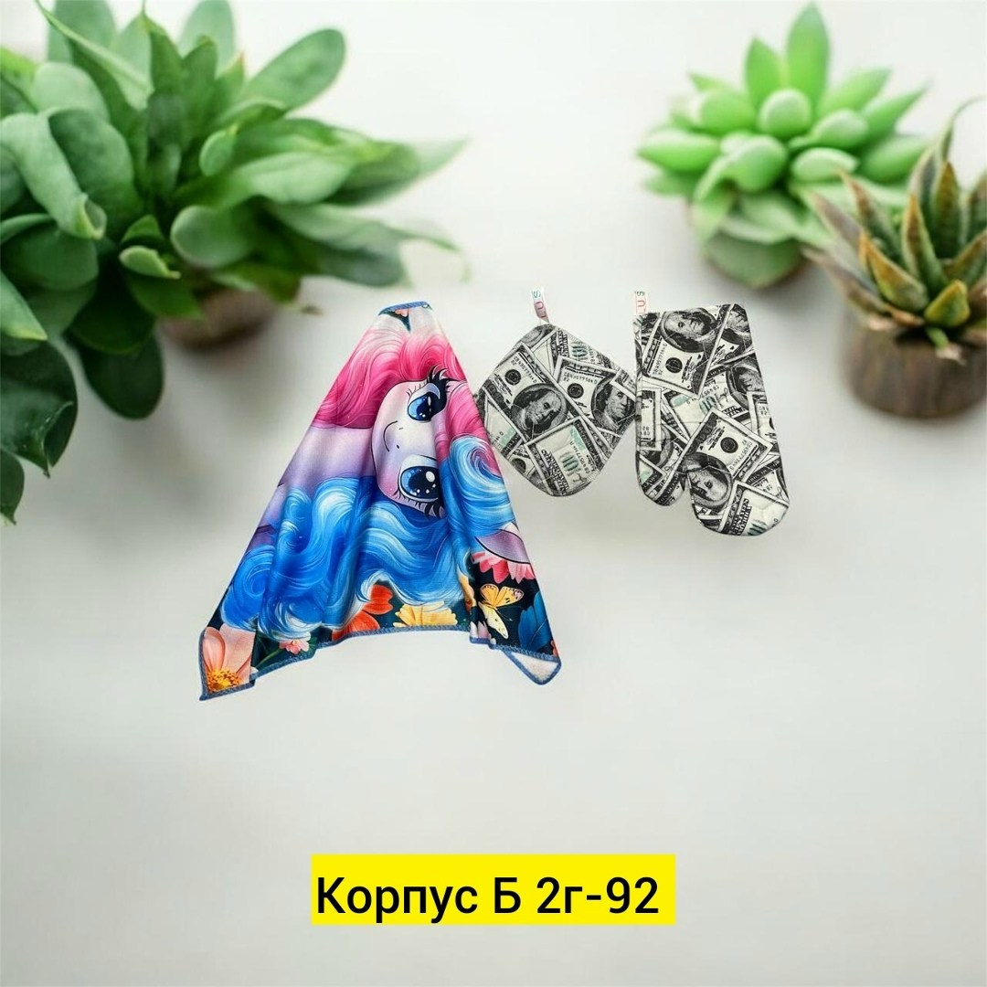 растение,суккулент,аксессуар,эхеверия аффинис,комнатное растение