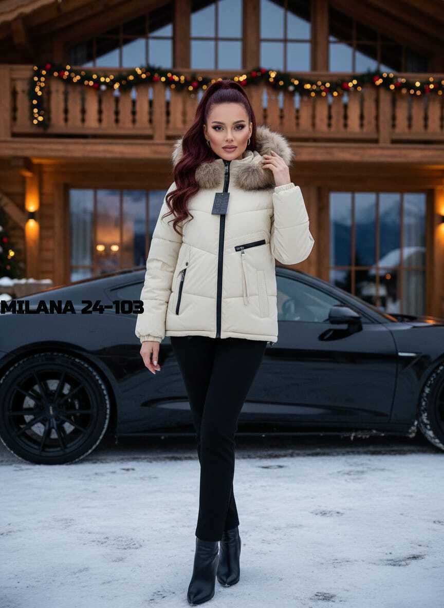 женская зимняя куртка,куртка женская зимняя с мехом енот премиум класса,куртка женская зимняя с мехом енот премиум класса черного цвета,зимняя куртка,куртка женская