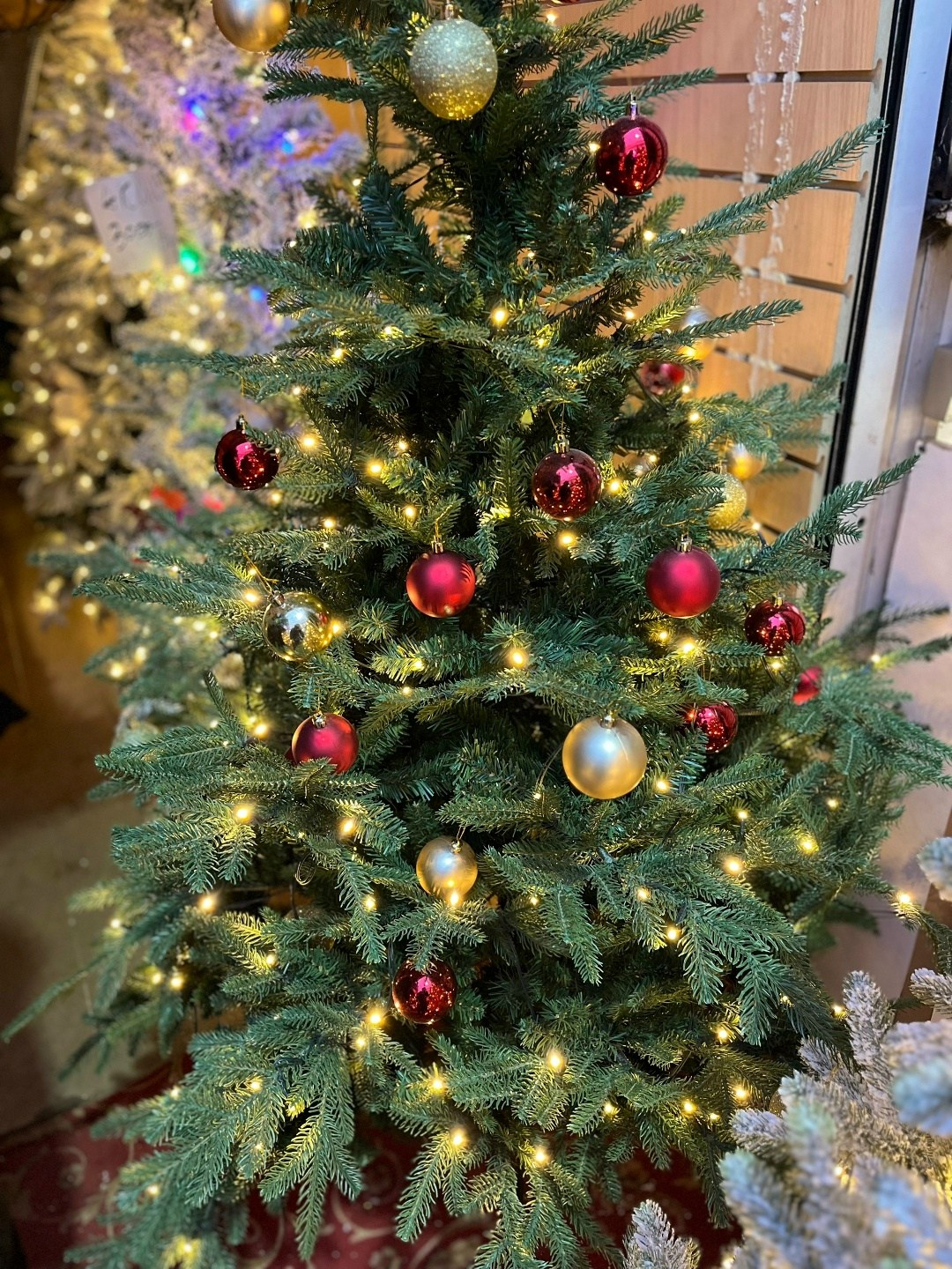 искусственная елка,новогодняя искусственная елка,живая новогодняя елка (пихта фразера),новогодняя елка,елка