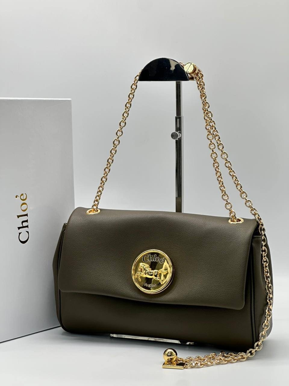 gucci сумка,женская сумка,сумка,сумка женская chloe,сумка блонди гуччи