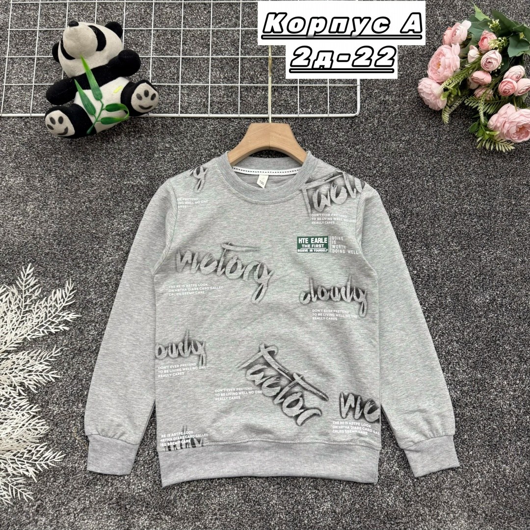 кофта для мальчика,толстовка для мальчика,джемпер для мальчика,детский свитшот,cвитшот для мальчика