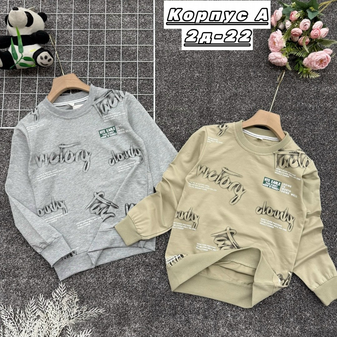 кофта для мальчика,толстовка для мальчика,джемпер для мальчика,детский свитшот,cвитшот для мальчика