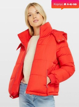 Верхняя одежда