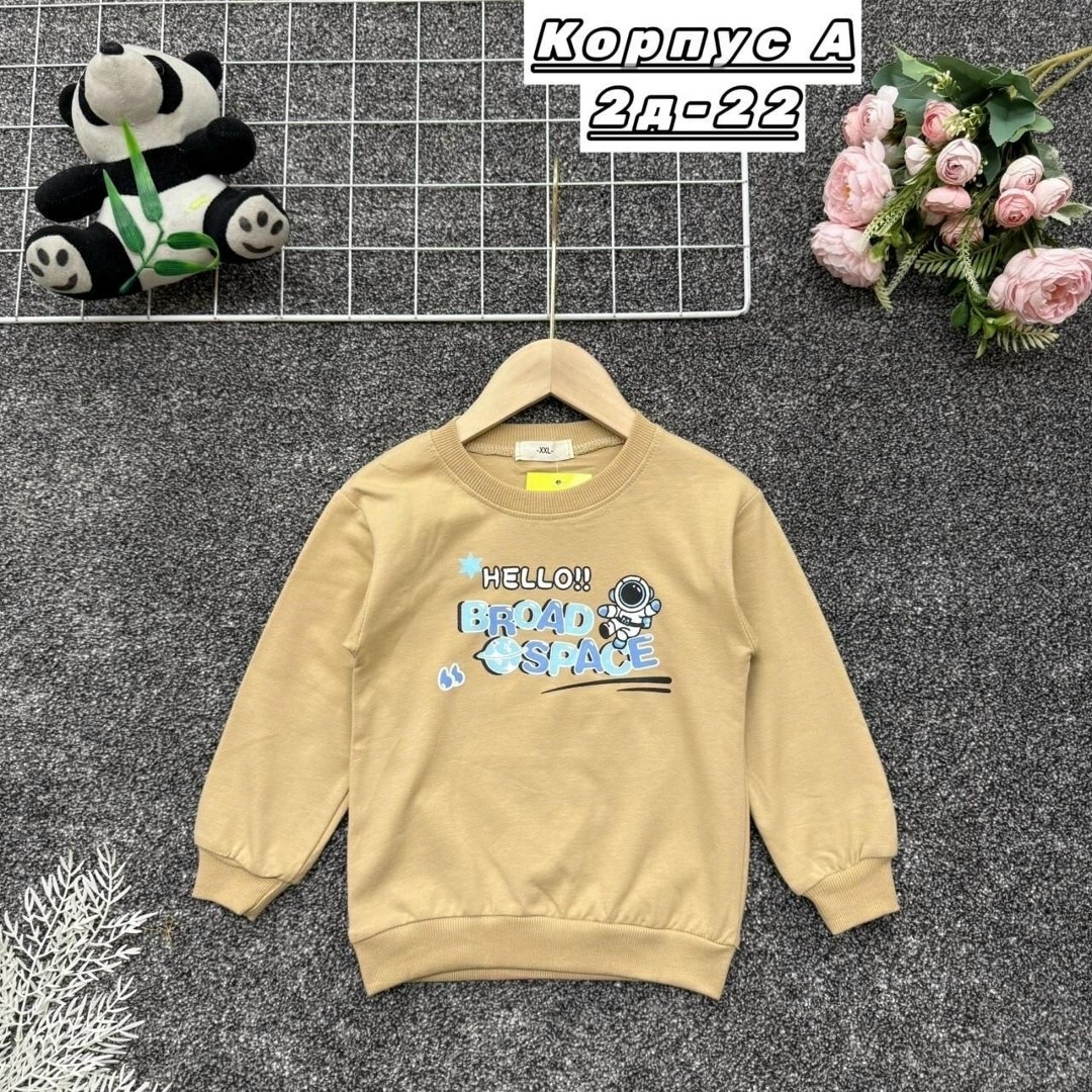 свитшот для мальчика,свитшот для мальчиков детский,толстовка для мальчика,свитшот для детей,детский свитшот