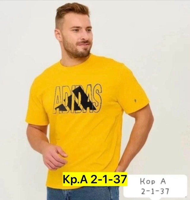 футболка мужская,футболка мужская однотонная,футболки для мужчин,футболка,футболка остин мужская