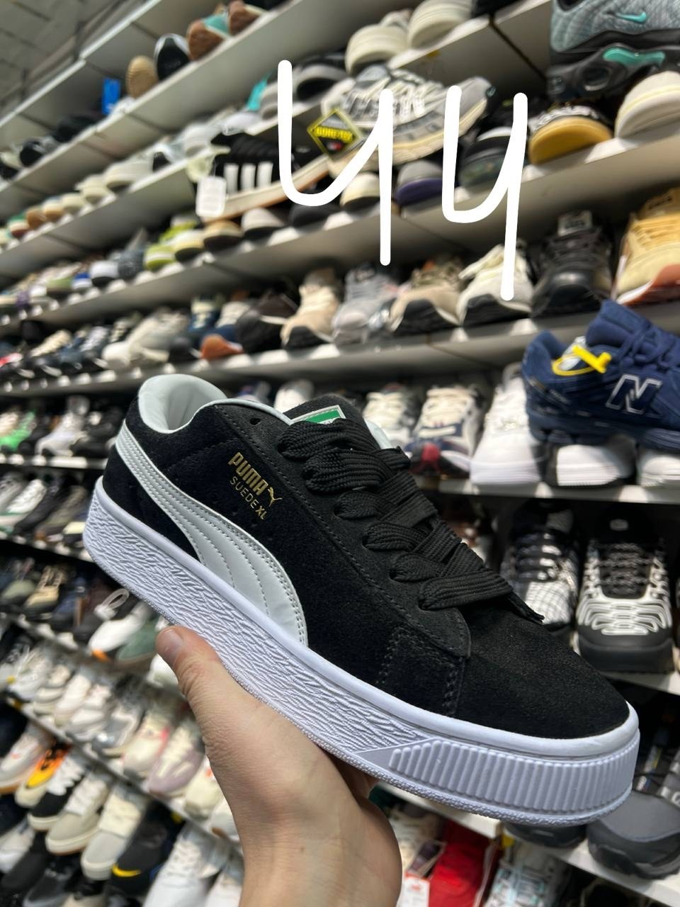,кроссовки puma,кроссовки puma suede xl,кроссовки puma suede,кроссовки женские puma