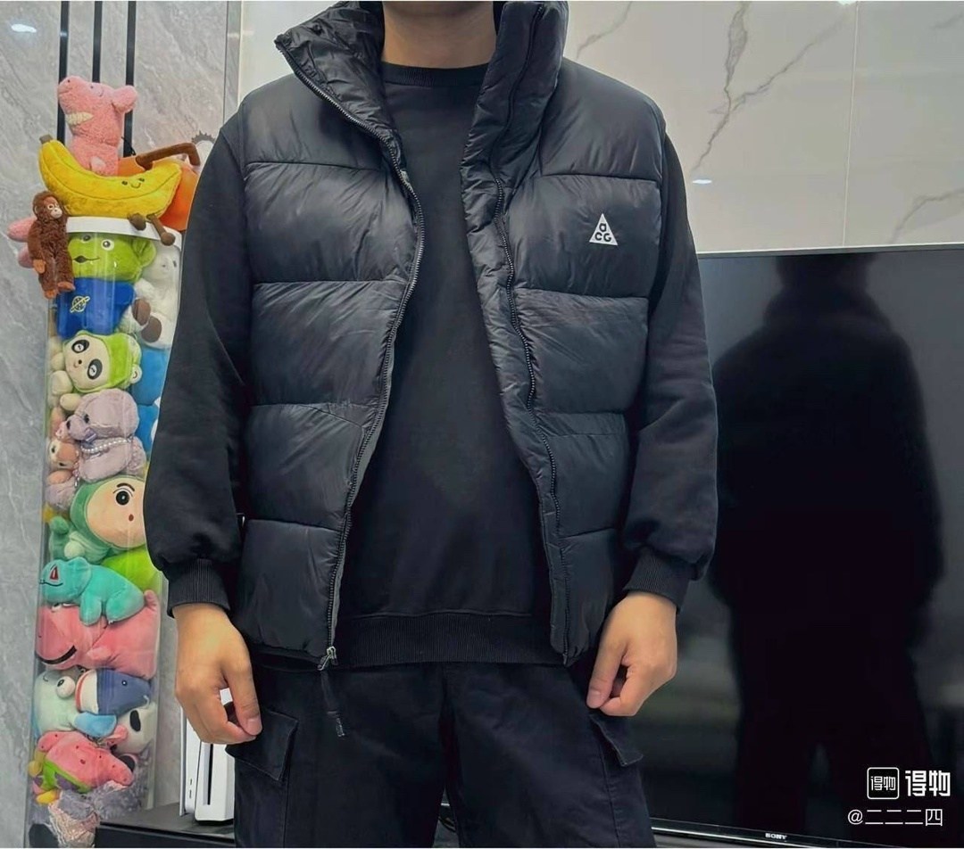 жилетка nike acg,мужская жилетка nike acg,жилетка демисезонная,жилетка мужская,жилетка двусторонняя