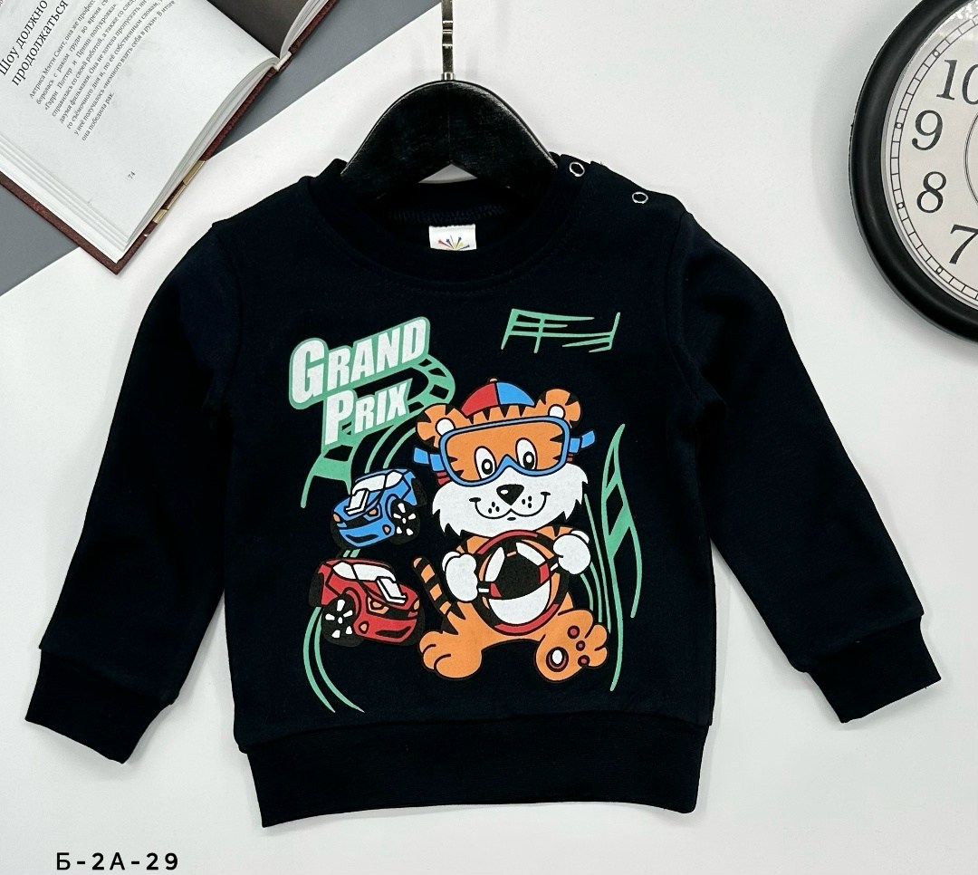 свитшот для мальчиков детский,джемпер детский,детский свитшот,толстовка свитшот для мальчика,свитшот для детей