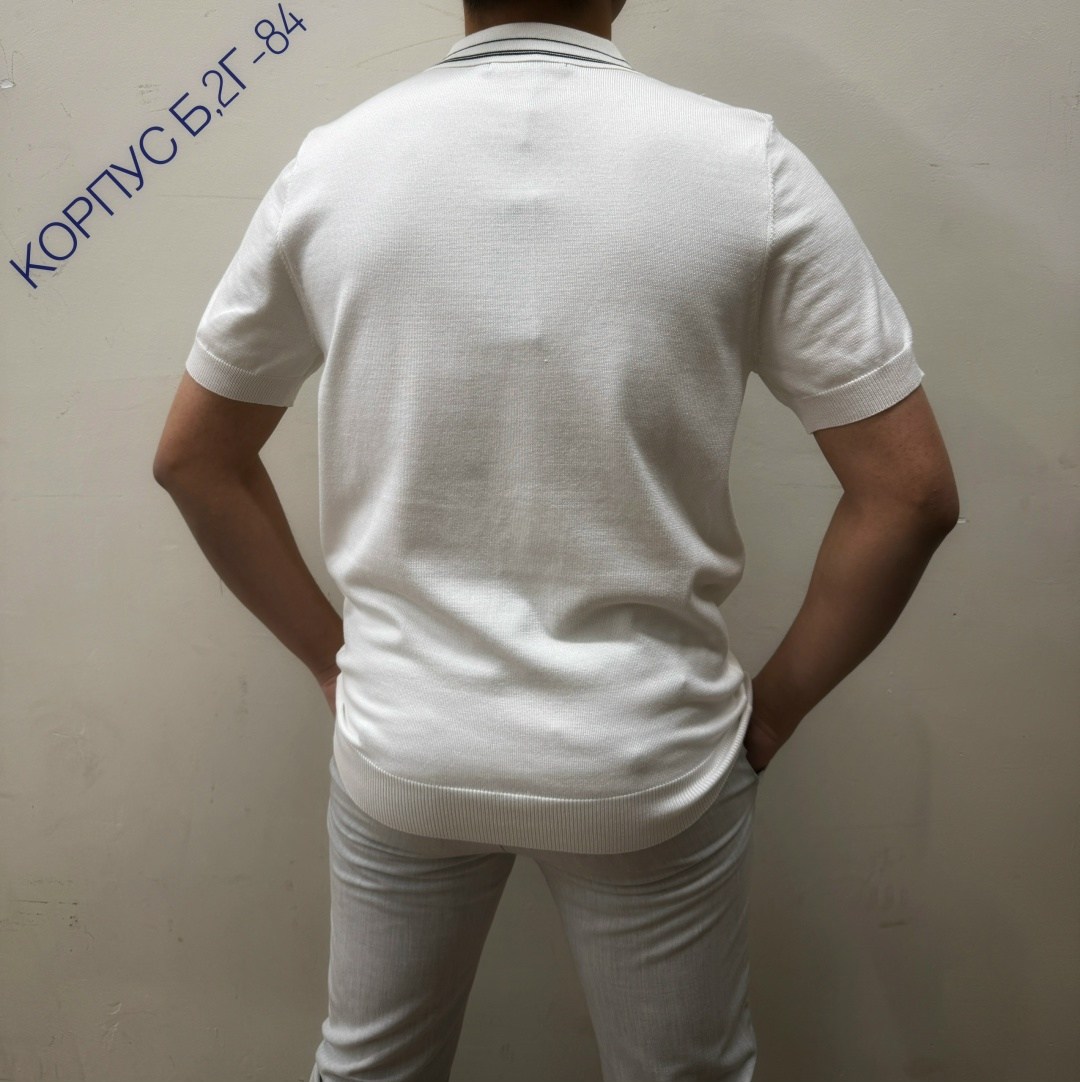 мужская футболка поло,tommy hilfiger поло,поло томми хилфигер,мужская футболка белая,мужское поло tommy hilfiger