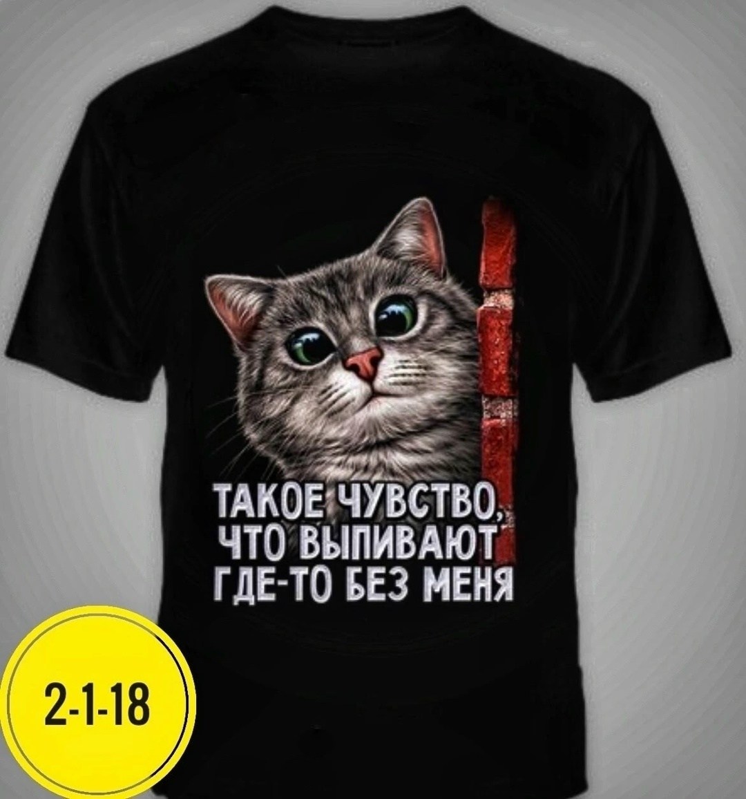 такое чувство что выпивают где-то без меня футболка,футболка № 1170 " выпивают где-то без меня",футболка с принтом "выпивают где-то без меня" mellaris,футболка с приколом "выпивают где-то без меня" me