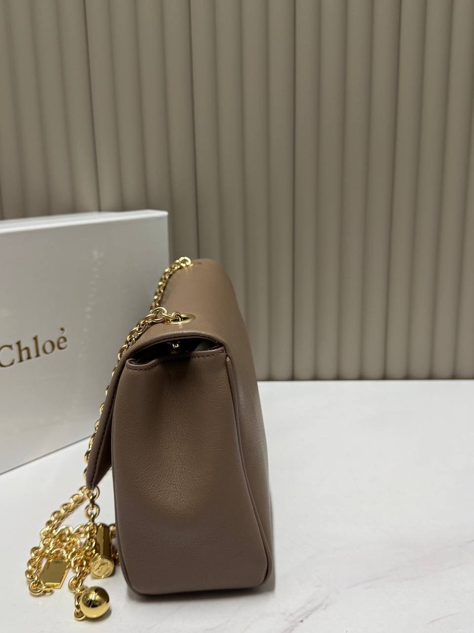 женская сумка,сумка,сумки люкс,женская брендовая сумка,модная сумочка