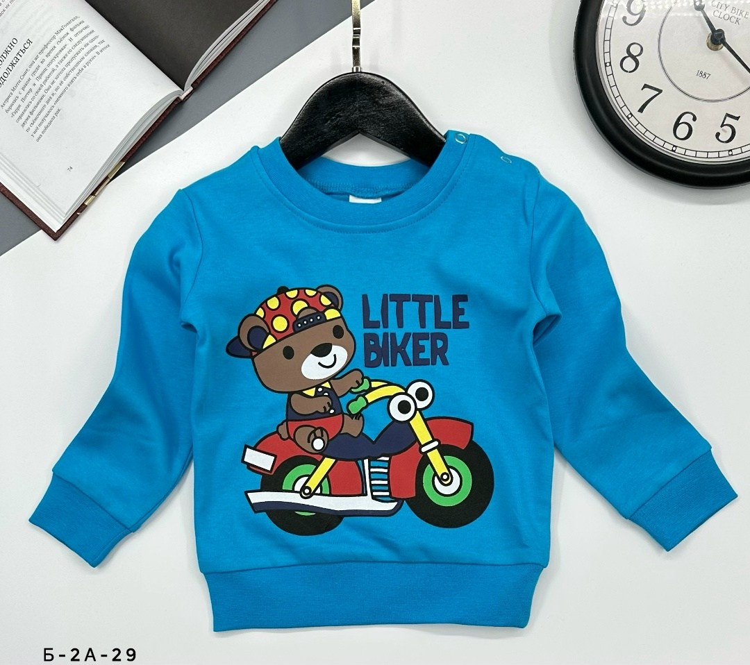 свитшот для мальчиков детский,джемпер детский,детский свитшот,толстовка свитшот для мальчика,свитшот для детей
