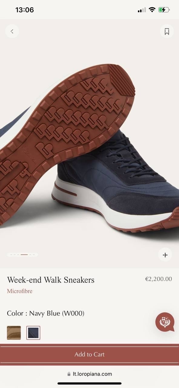 зимние кроссовки loro piana мужские,кроссовки loro piana,кроссовки loro piana на меху,кроссовки loro piana мужские,мужские кроссовки