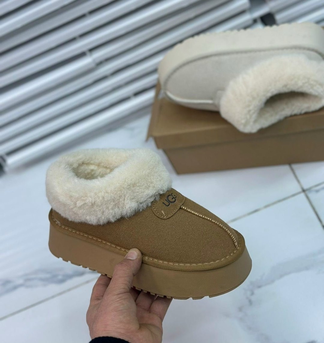 женские угги,угги ugg,угги замш,угги ugg женские,угги женские зимние