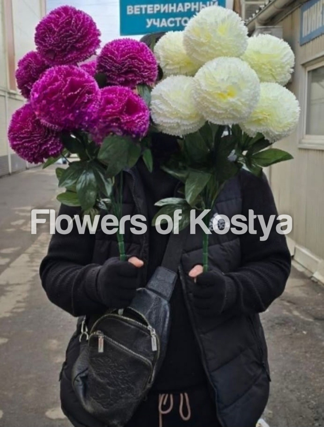 королевские хризантемы шаровидные,хризантема шаровидная,хризантемы шарами,хризантема шариком,хризантемы