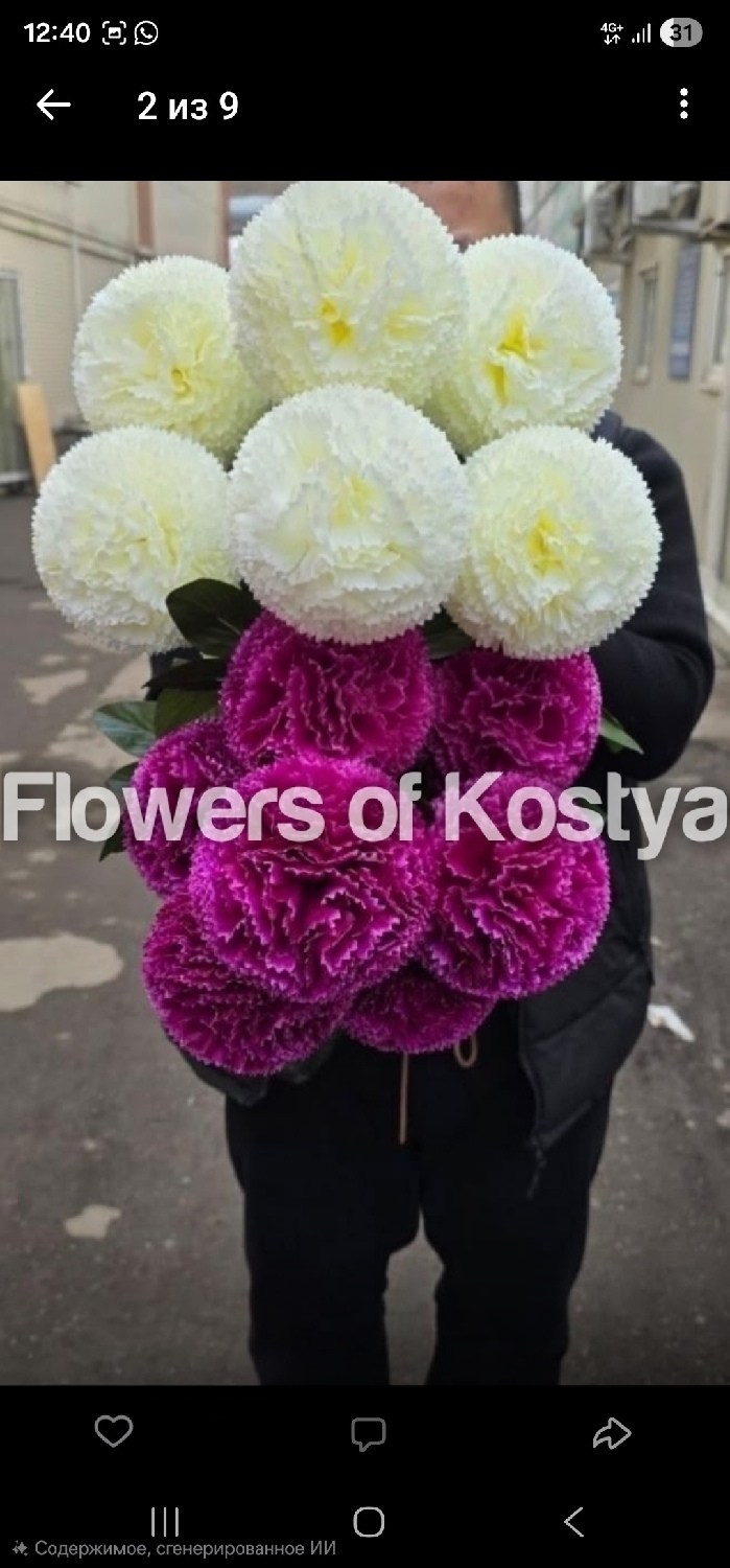 королевские хризантемы шаровидные,хризантема шаровидная,хризантемы шарами,хризантема шариком,хризантемы