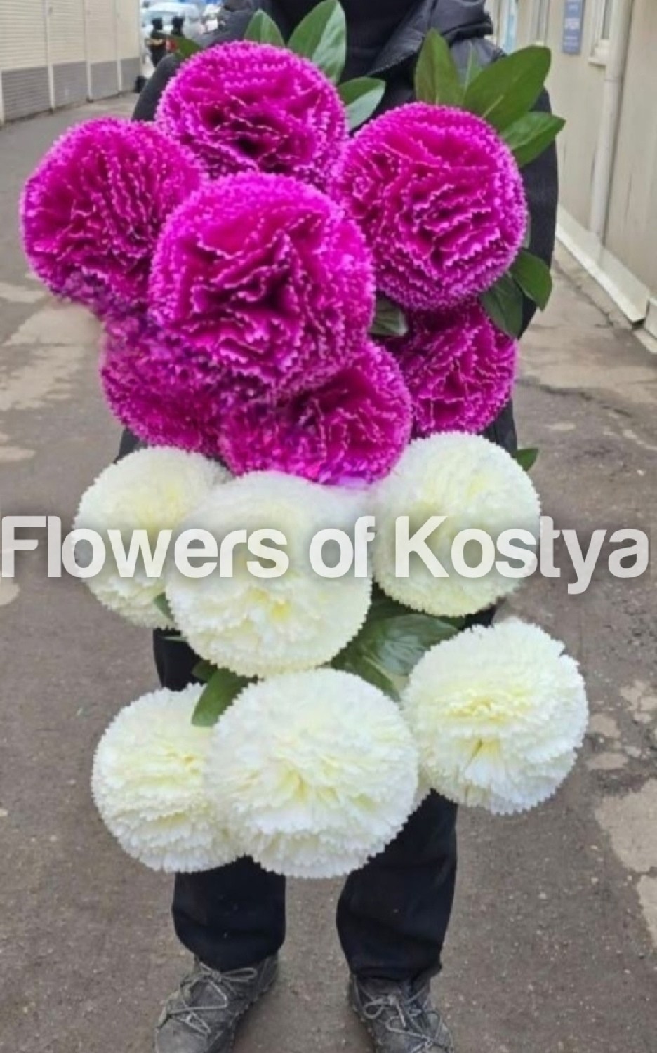 королевские хризантемы шаровидные,хризантема шаровидная,хризантемы шарами,хризантема шариком,хризантемы