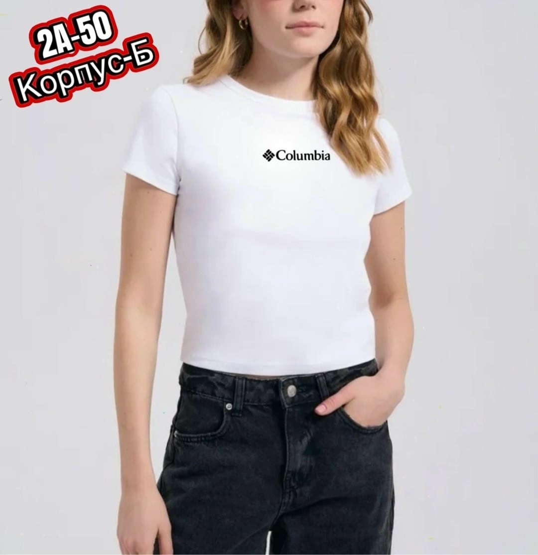 футболка the north face женская белая,женские футболки the north face,футболка женская,футболка женская белая,футболка the north face