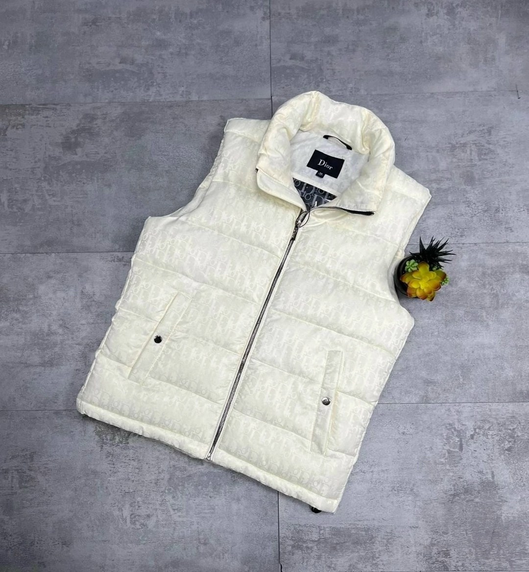 жилетка dior,безрукавка демисезонная,мужские жилетки,жилет мужской,жилетка