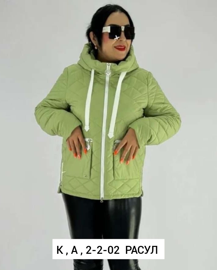 демисезонная куртка,куртка женская,куртка женская демисезонная,куртка демисезонная женская больших размеров,куртка