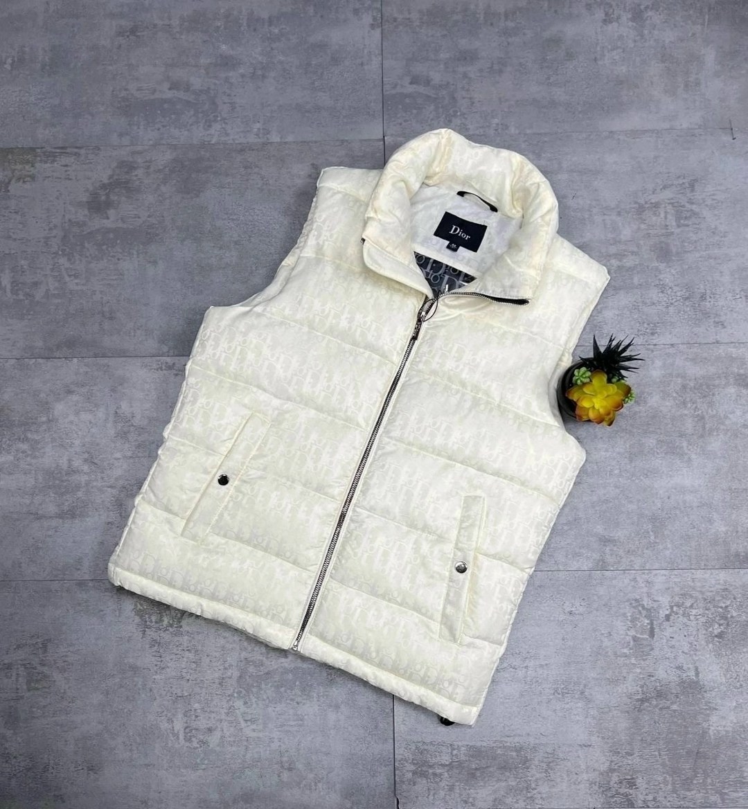 жилетка dior,безрукавка демисезонная,мужские жилетки,жилет мужской,жилетка