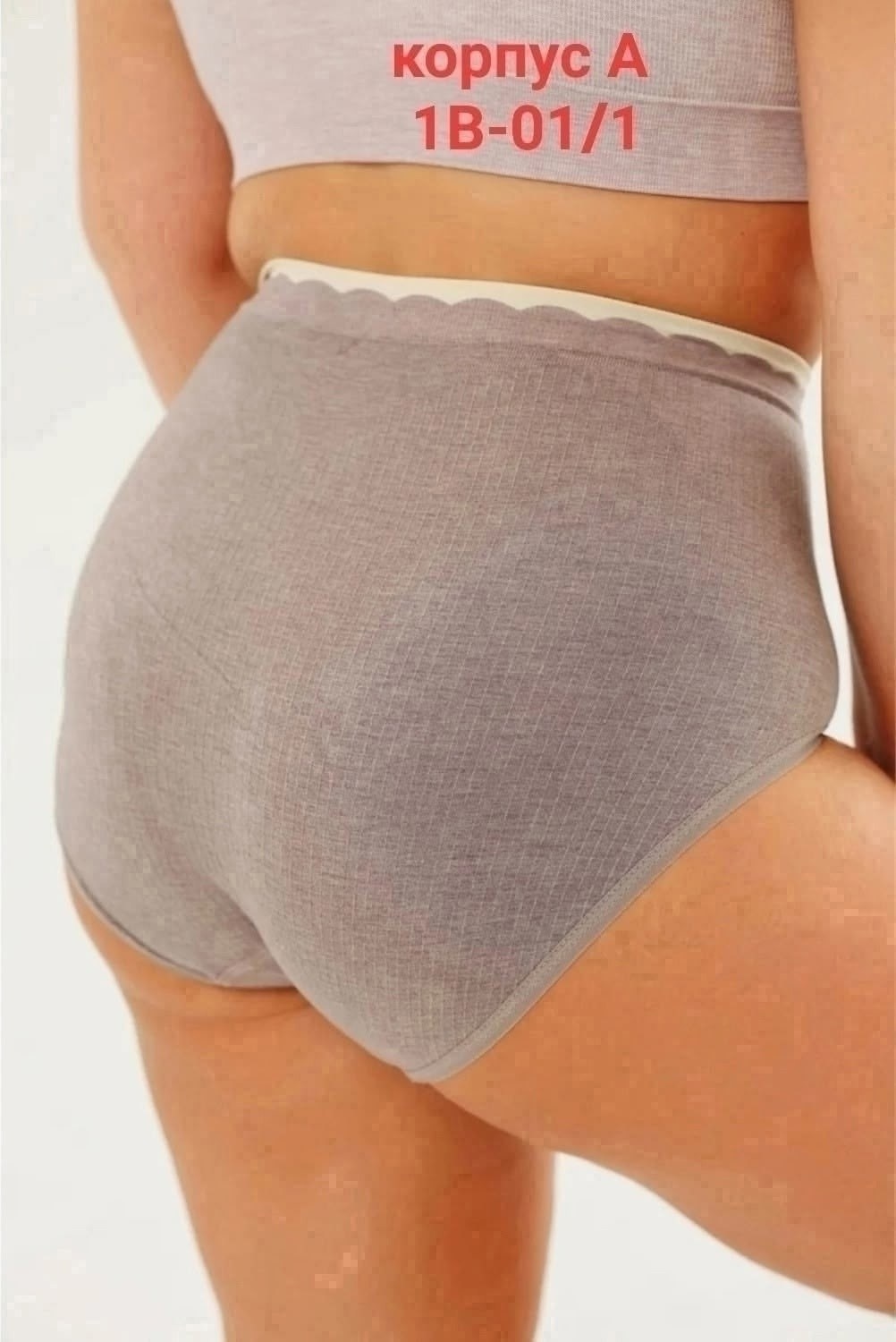 трусы женские 5 шт,трусы женские,трусы для женщин,трусы женские хлопок,трусы оптом