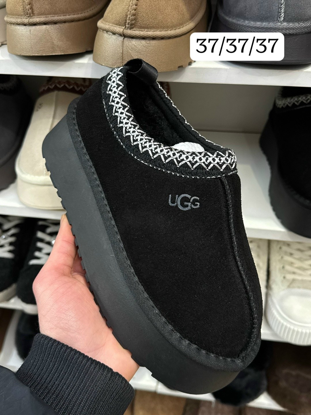 угги короткие натуральный замш moda for life 263529450,женские угги,,модные угги,угги женские ugg