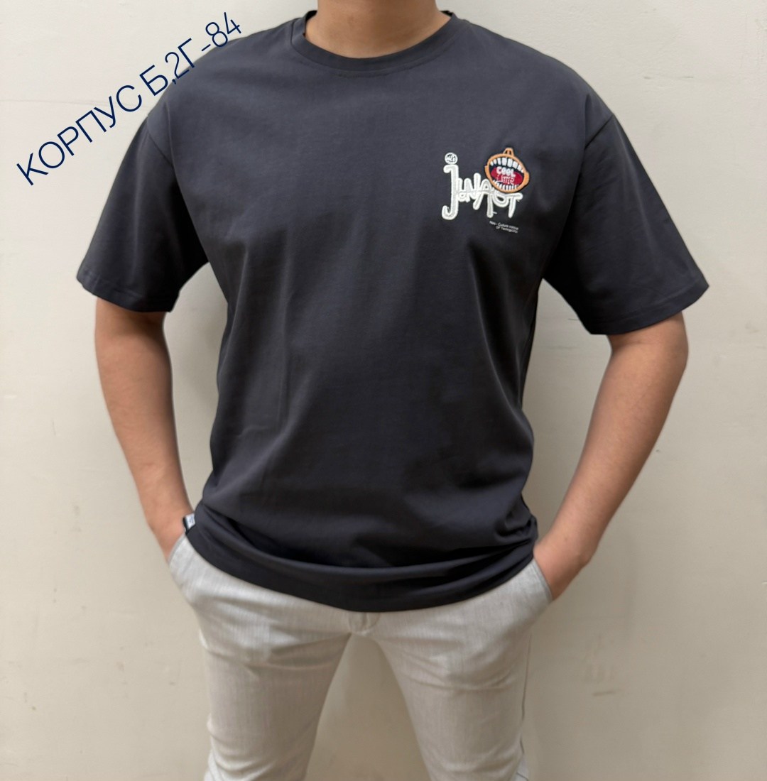 мужская футболка,футболка,футболка короткий рукав,