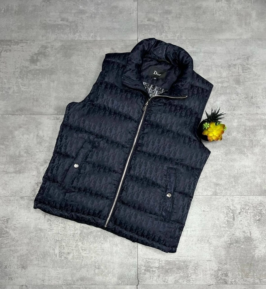 жилетка dior,безрукавка демисезонная,мужские жилетки,жилет мужской,жилетка