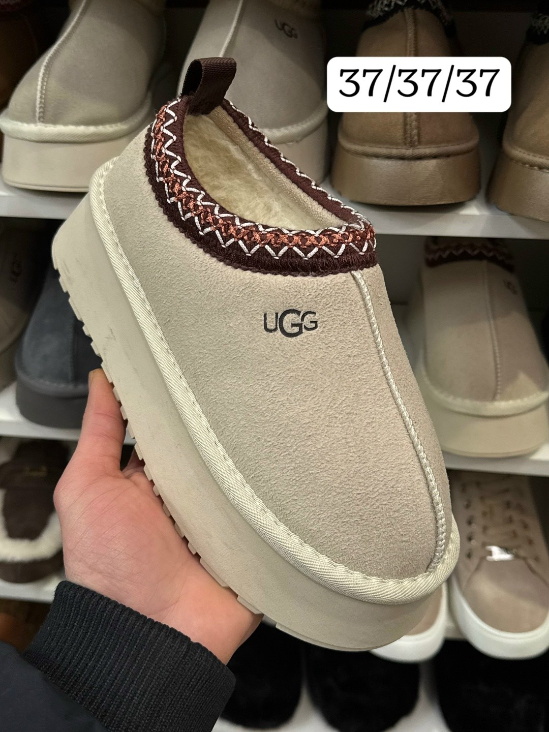 угги короткие натуральный замш moda for life 263529450,женские угги,,модные угги,угги женские ugg