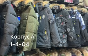 Верхняя одежда