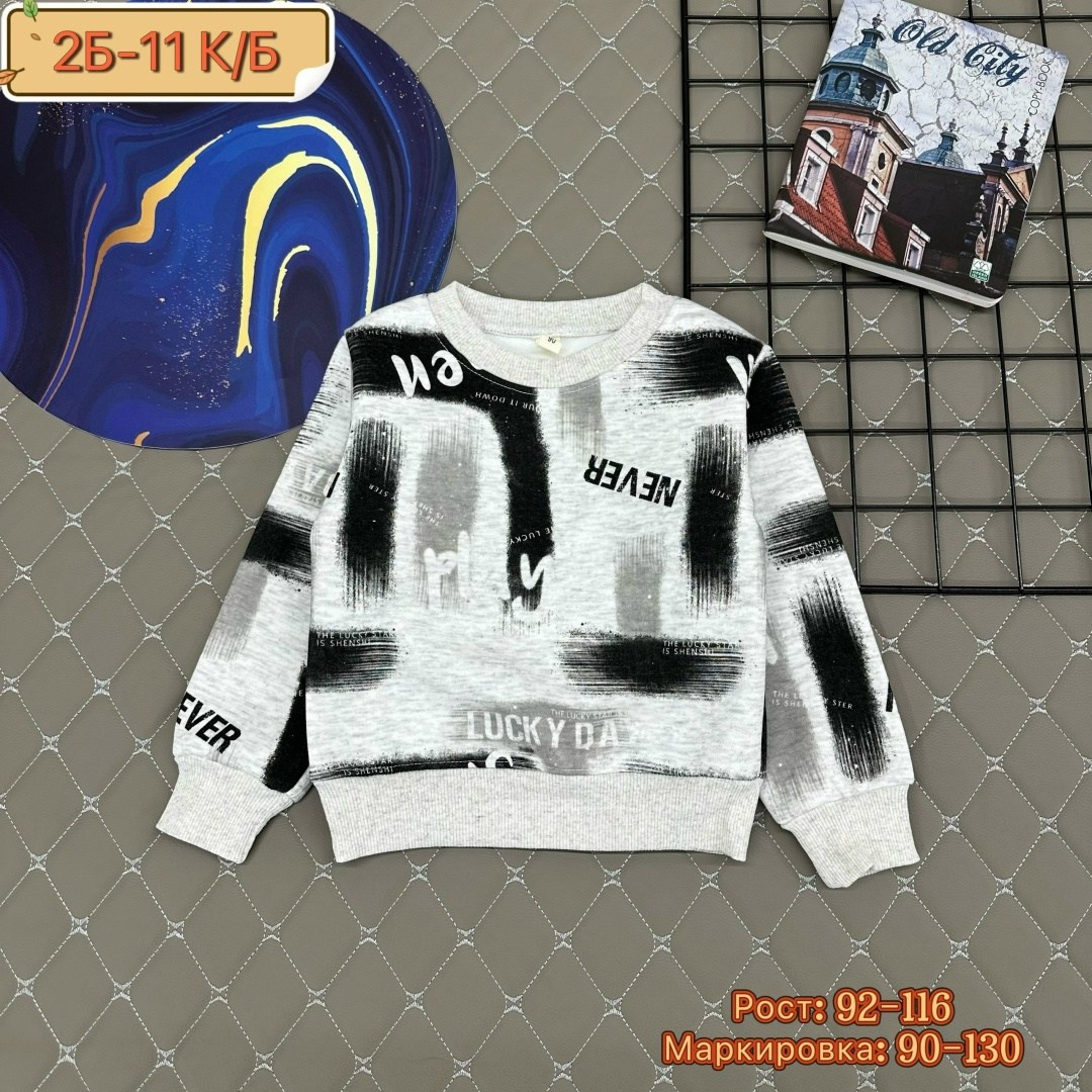свитшот для мальчика толстовка,кофта толстовка,детская кофта,cвитшот для мальчика,кофта теплая