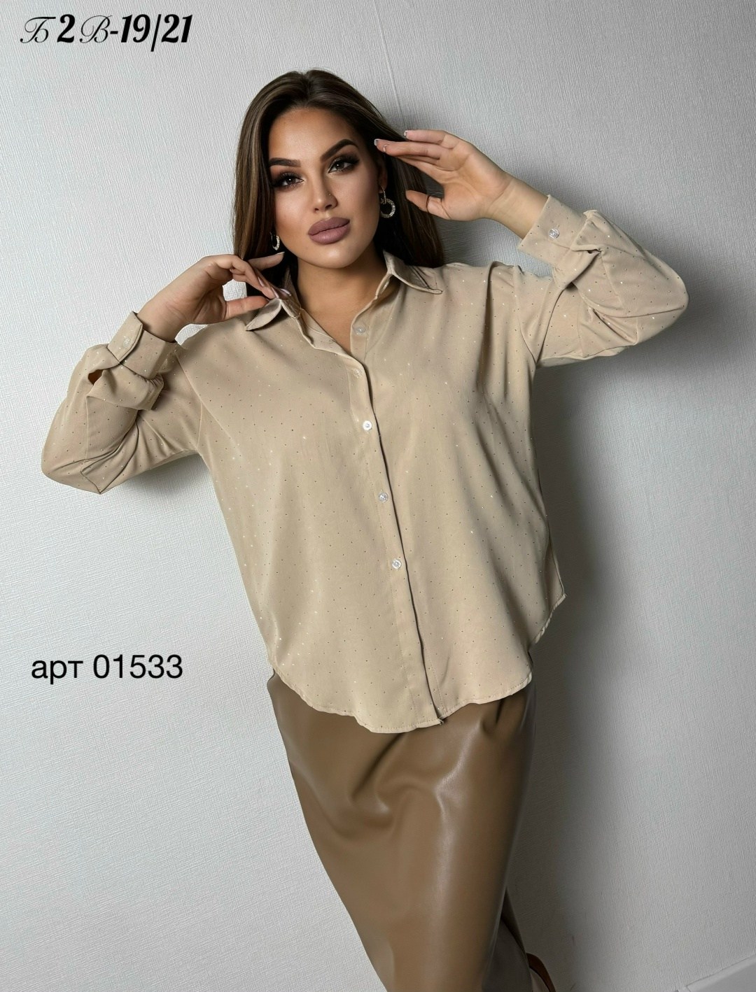 женская блузка,элегантная женская блузка,женская блуза,женские блузки и рубашки,рубашка женская