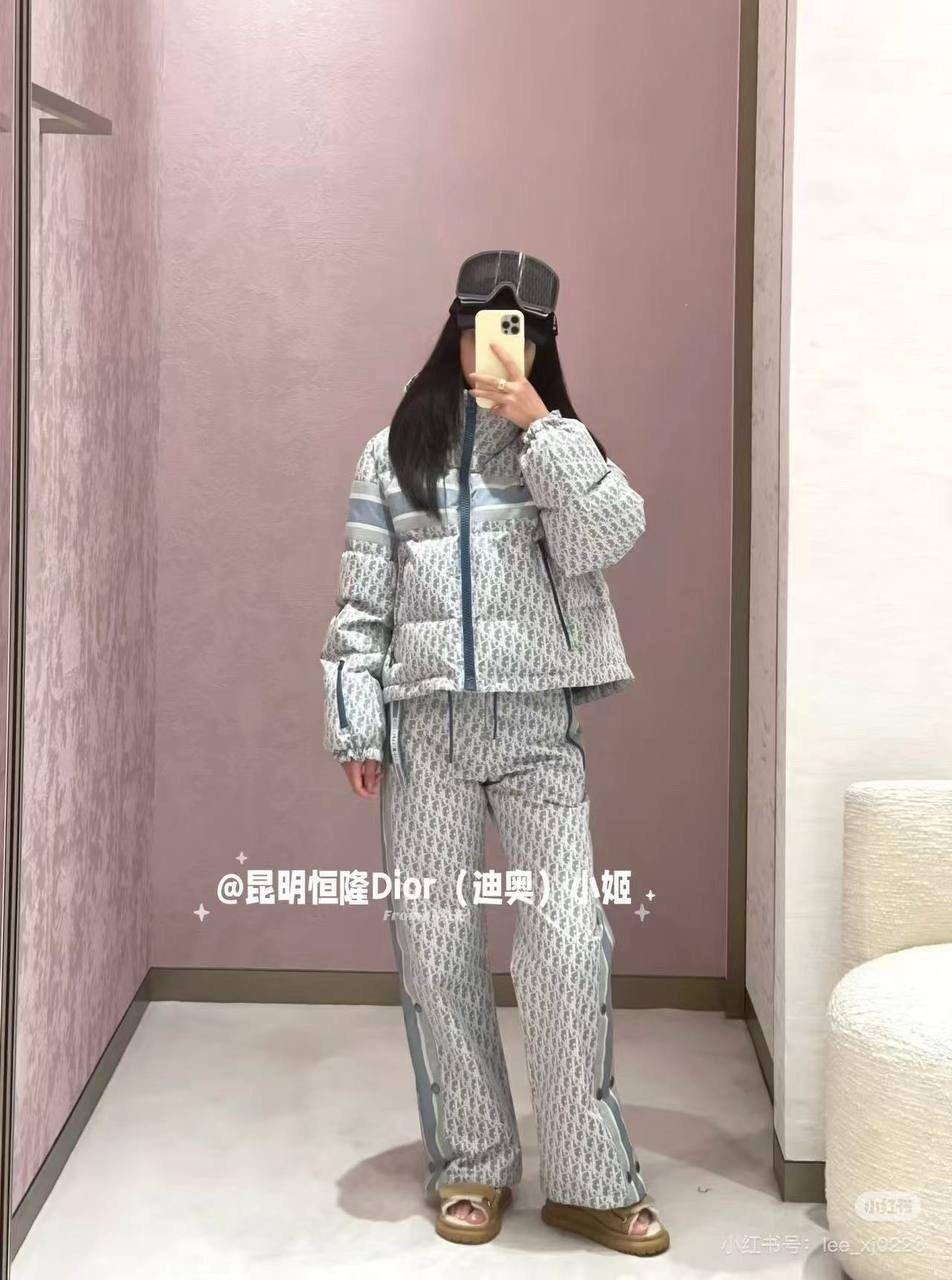 пуховик кристиан диор женский,пуховик-куртка brunello cucinelli женская,женский пуховик prada серый арт. 85v45,пуховик dior,женская куртка loro piana