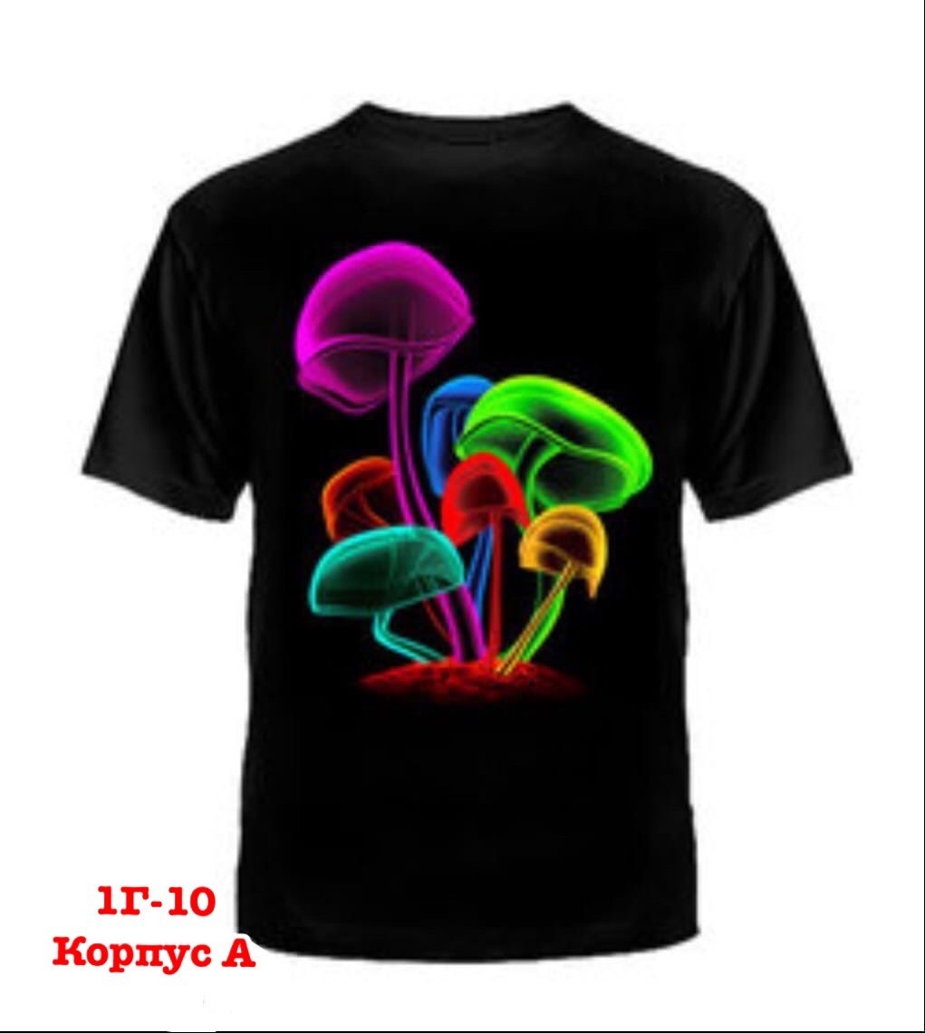 футболка "лев с короной",лев на футболке,лев с короной,футболка с принтом лев,футболка львица