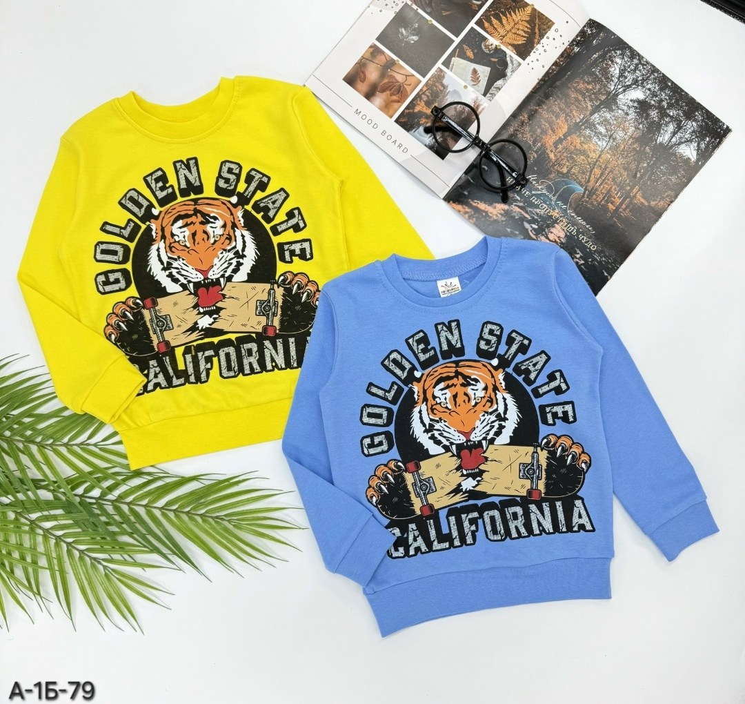 кофта для мальчика,свитшот для мальчиков,кофта хлопок,кофта свитшот для мальчика,свитшот для мальчиков детский