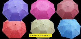 Одежда