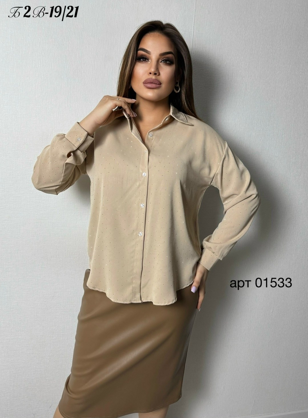 женская блузка,элегантная женская блузка,женская блуза,женские блузки и рубашки,рубашка женская