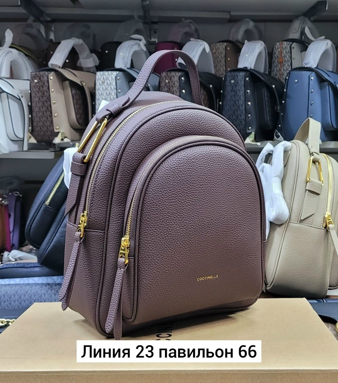 рюкзак coccinelle,рюкзак женские,рюкзак,рюкзак женский coccinelle dione,повседневный рюкзак