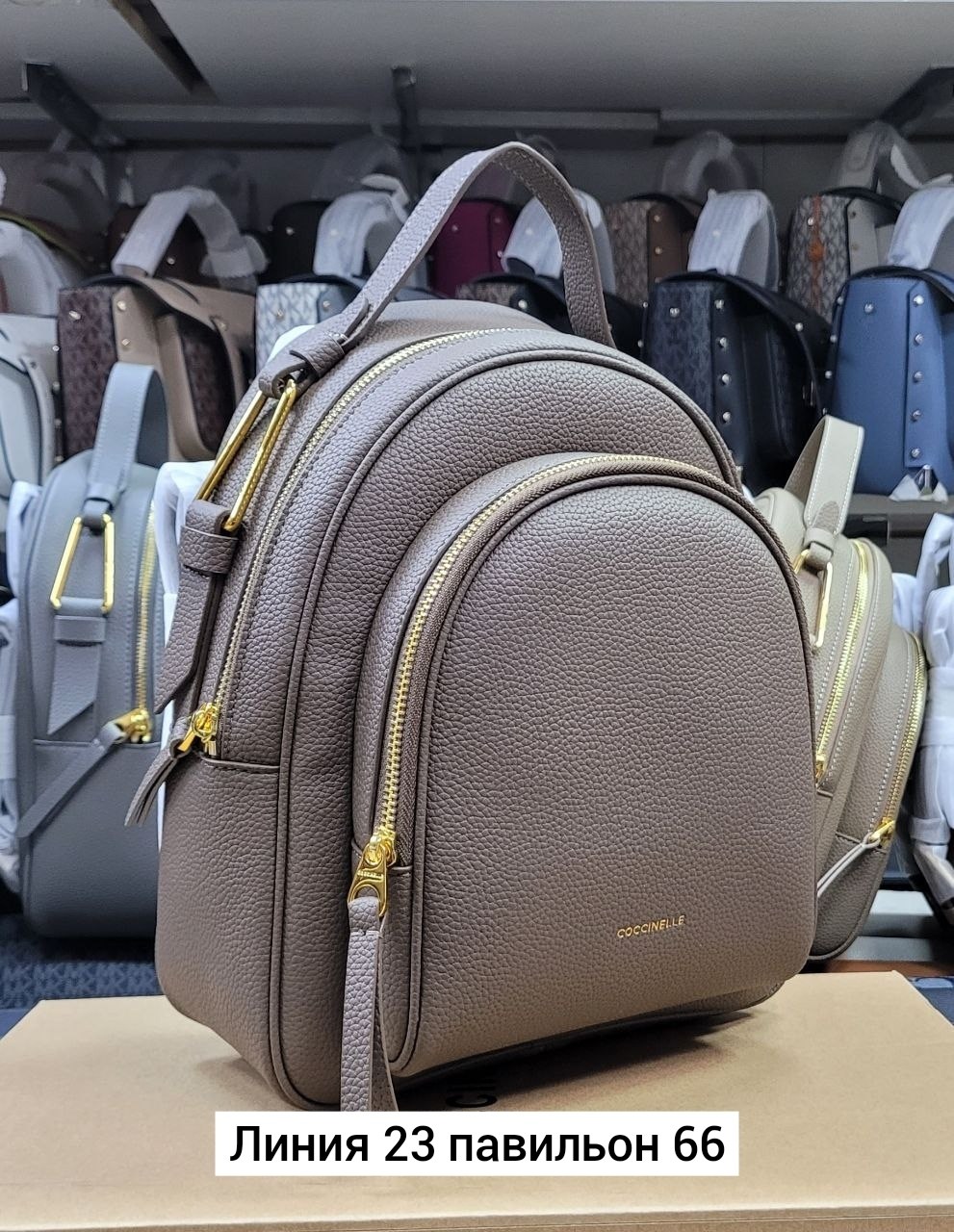 рюкзак coccinelle,рюкзак женские,рюкзак,рюкзак женский coccinelle dione,повседневный рюкзак