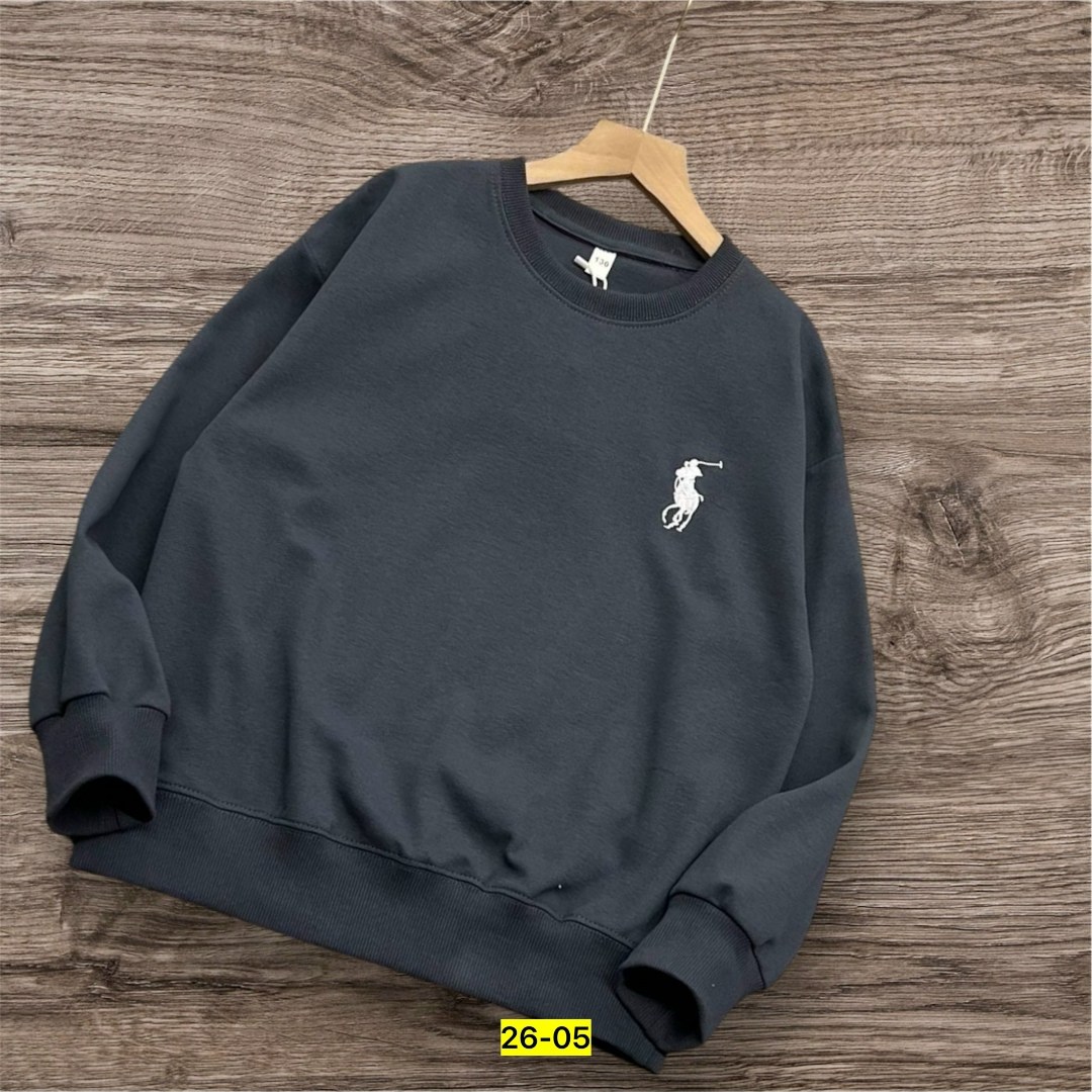 свитшот polo ralph lauren,кофта мужская,свитшот мужской женский ralph lauren белый,свитшот мужская,кофта