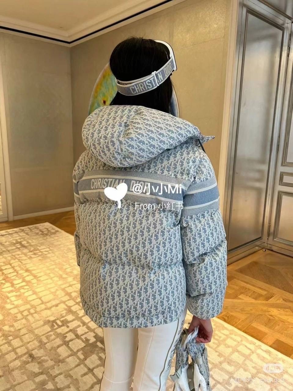 пуховик кристиан диор женский,пуховик-куртка brunello cucinelli женская,женский пуховик prada серый арт. 85v45,пуховик dior,женская куртка loro piana