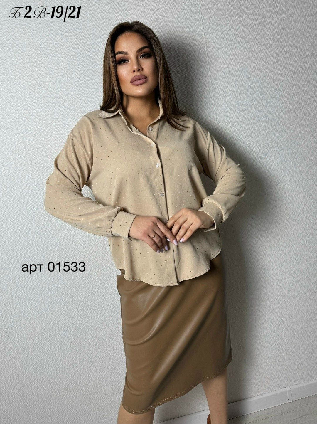 женская блузка,элегантная женская блузка,женская блуза,женские блузки и рубашки,рубашка женская