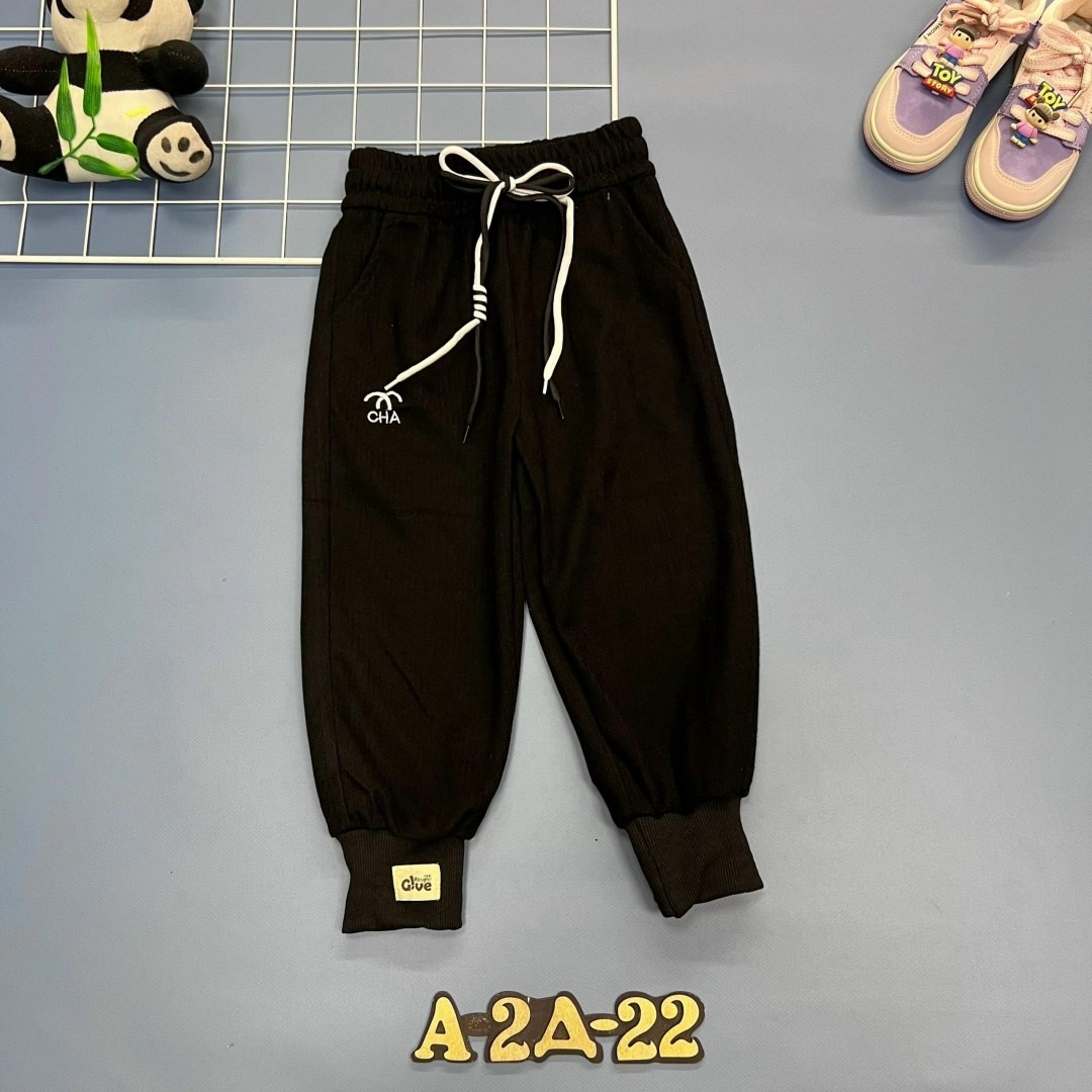 штаны хлопковые,детские брюки для мальчика,детские штаны,брюки детские,одежда штаны