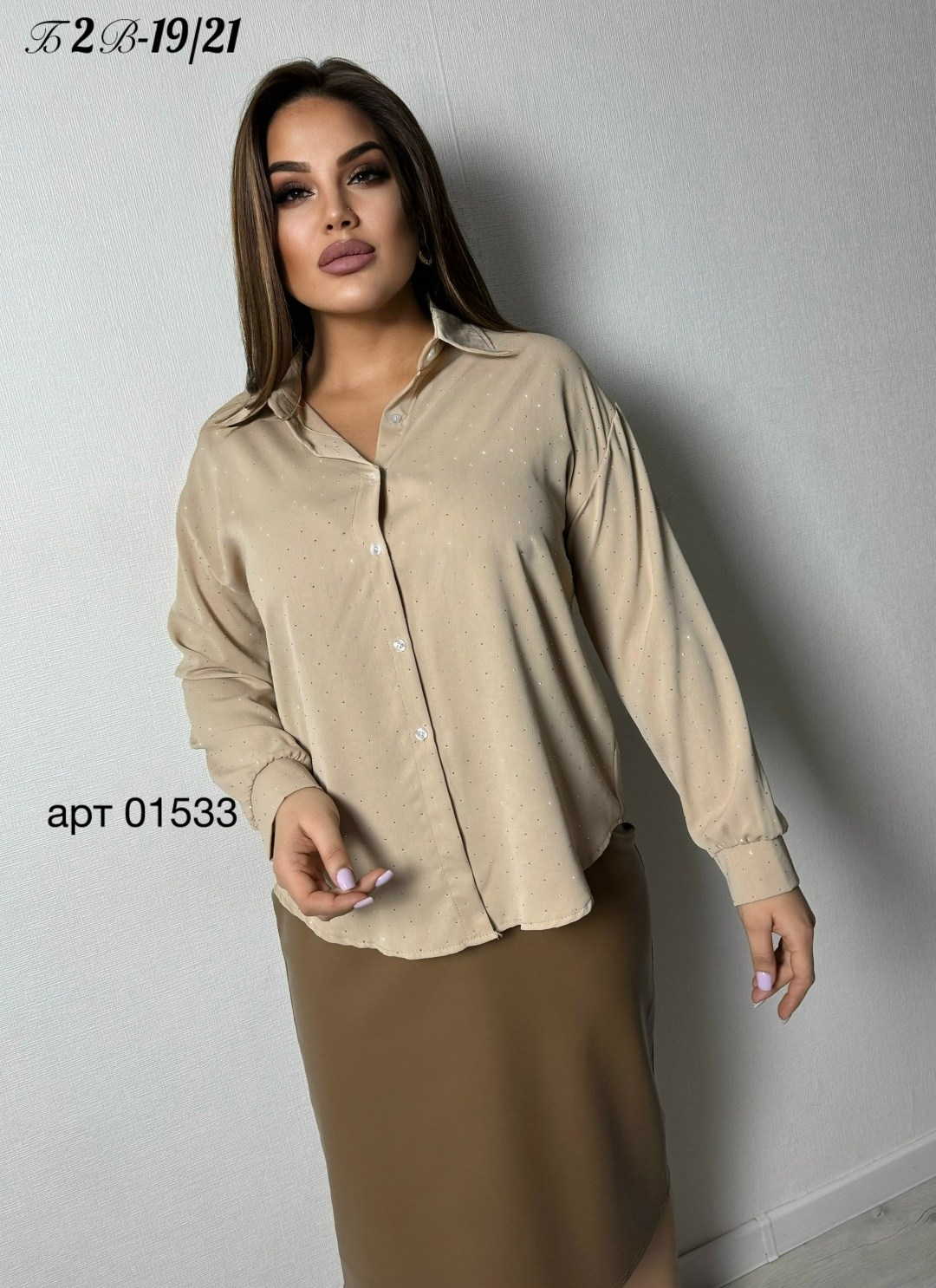 женская блузка,элегантная женская блузка,женская блуза,женские блузки и рубашки,рубашка женская