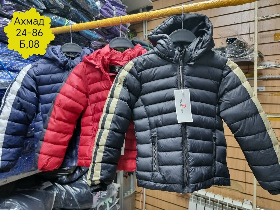 куртка демисезонная для мальчик,куртка для мальчика,куртка демисезонная ovas для мальчика,утепленная куртка для мальчика,демисезонная куртка для мальчика modis