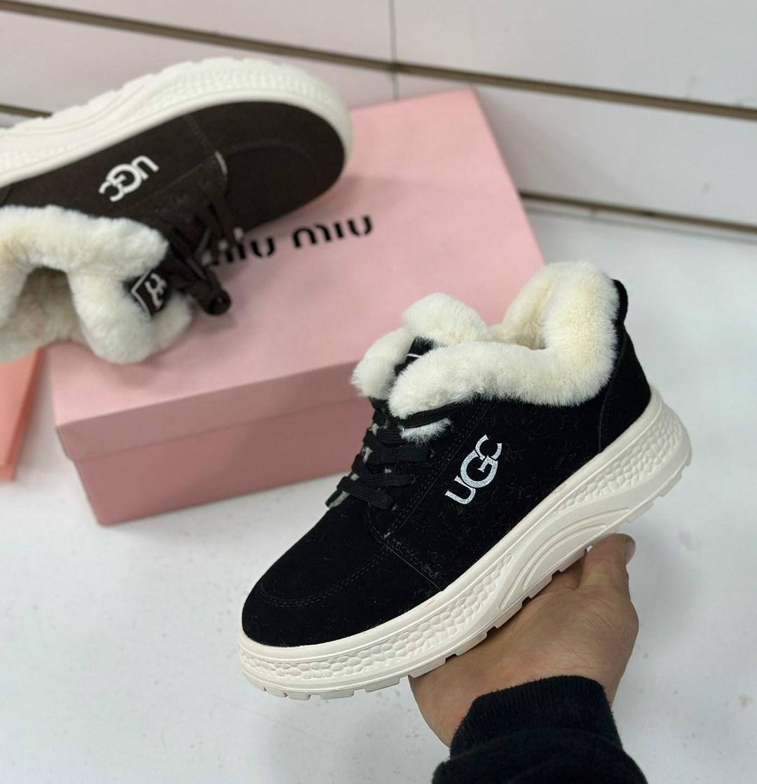 ботинки кроссовки зимние soffie,ботинки кроссовки зимние soffie цвет черный,кроссовки женские зимние меховые на шнурках черные угг ugg sofia alexs,кроссовки женские ugg зимние,